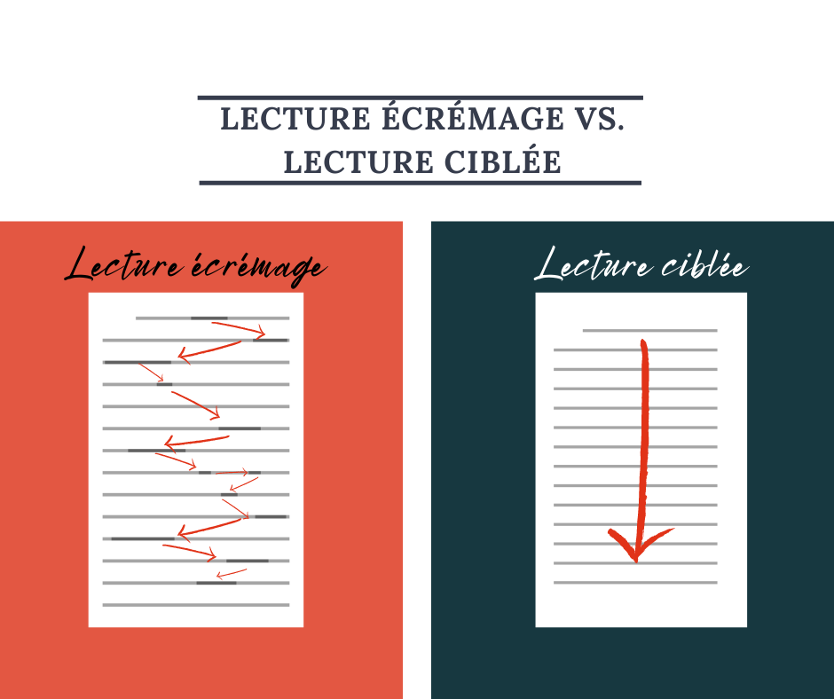 Lecture écrémage vs. lecture ciblée : différentes stratégies pour explorer un texte