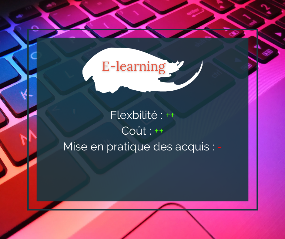 L'e-learning pour l'apprentissage de l'anglais