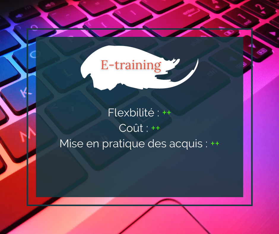 L'e-training proposé par Yesmag est le futur de l'apprentissage