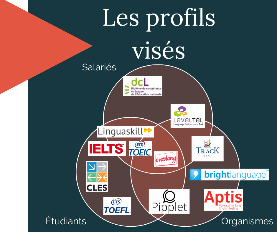 Les profils visés par les certifications en anglais (salariés, étudiants, organismes)