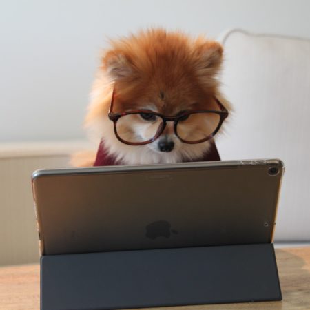 Yesmag et Yesbook vous font passer au niveau supérieur grâce à l'e-training